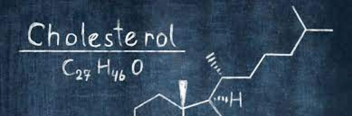 Cholestérol : définition et conseils pour prévenir le risque d’hypercholestérolémie