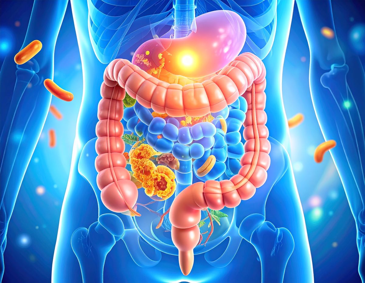 Le microbiote intestinal : votre allié santé insoupçonné