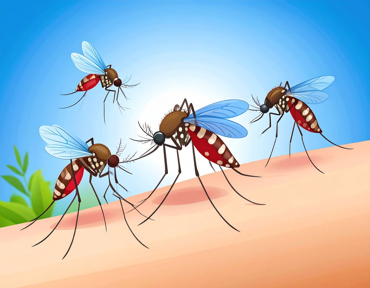 Les piqûres d’insectes : prévenir et soulager naturellement