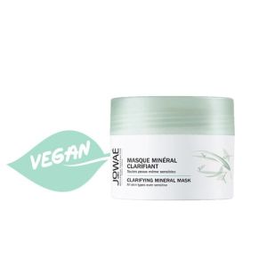Masque Minéral Clarifiant Pot 50ml