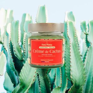 Crème de Cactus - Cheveux épais 250ml