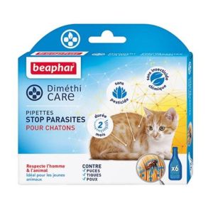 Pipettes stop parasites pour chatons - 6 pipettes