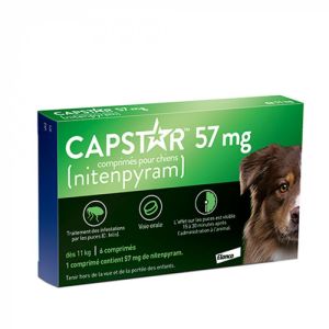 Capstar Anti-Puces Chien dès 11kg - 57mg