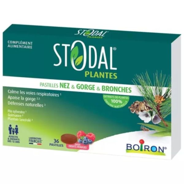 Stodal Plantes Pastilles Nez Gorge Bronches Goût Fruits Rouges - 36 pastilles