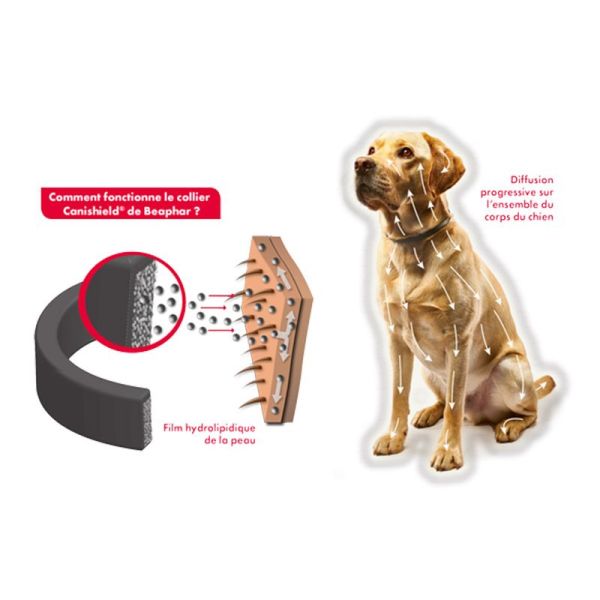 Canishield, collier médicamenteux pour petits et moyens chiens - 48 cm
